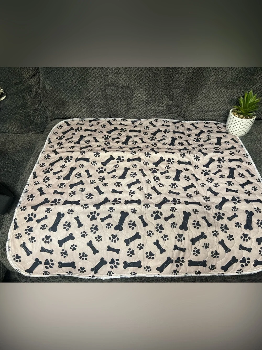 5 NWOT Puppy Pads in Light tan with Black Paw & Bone Print